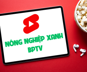 Youtbe nông nghẹp xanh